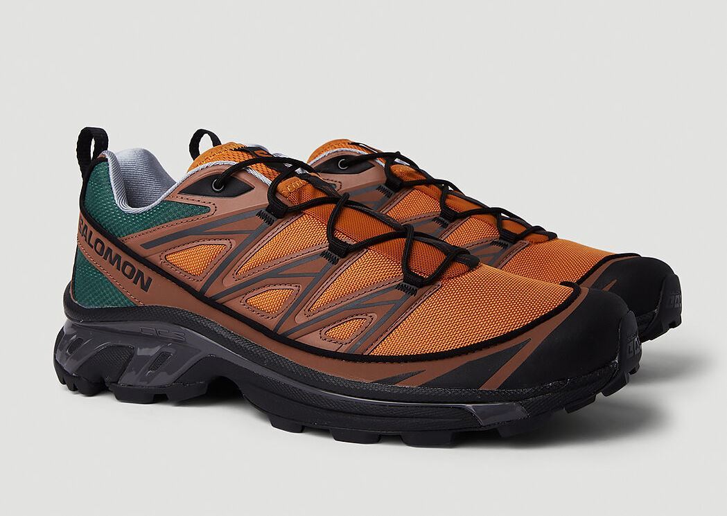 SALOMON XT-6 EXPANSE 75TH 28.5cm Golden Oak_画像3