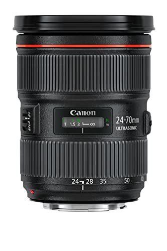 Canon 標準ズームレンズ EF24-70mm F2.8L II USM フルサイズ対応(中古品)