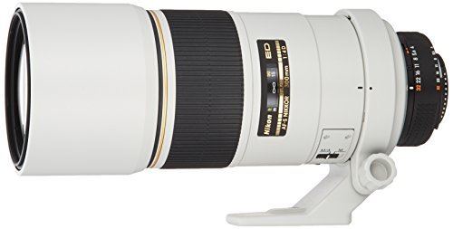 Nikon 単焦点レンズ Ai AF-S Nikkor 300mm f/4D IF-ED ライトグレー フルサ(中古品)