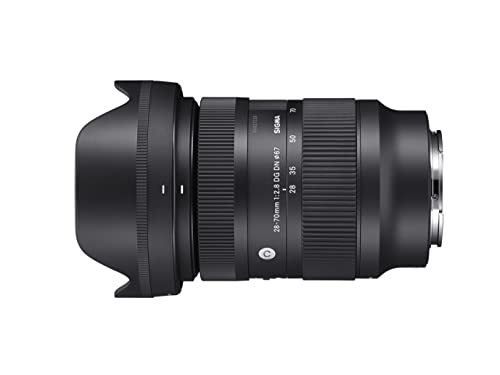 春新作の 28-70mm F2.8 SEマウント用(中古品) DN DG その他