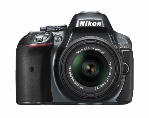 Nikon デジタル一眼レフカメラ D5300 18-55mm VR II レンズキット グレー 2(中古品)_画像1