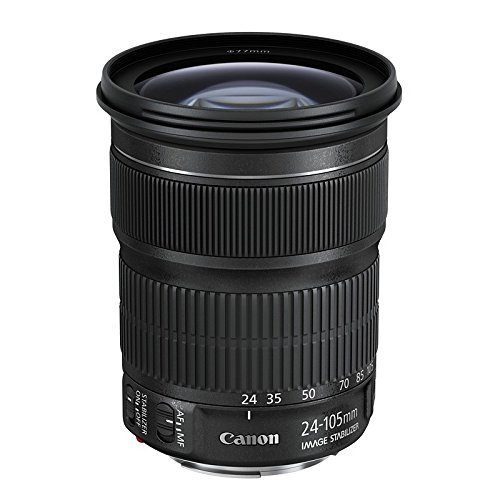 Canon 標準ズームレンズ EF24-105mm F3.5-.5.6 IS STM フルサイズ対応 EF24(中古品)