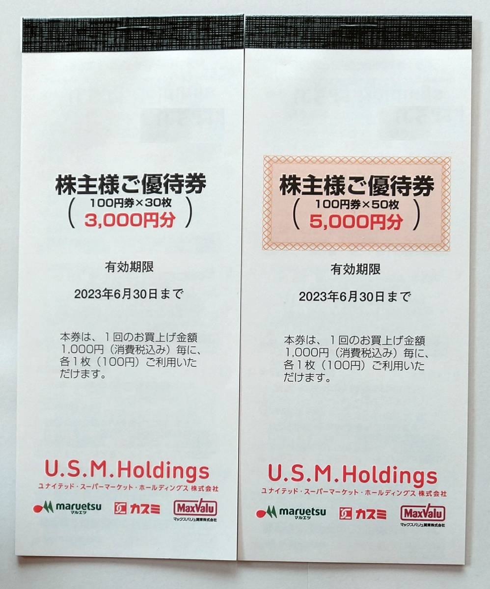 USMH 株主優待 63000円分(5000円×6冊、3000円×11冊 ) | jarussi.com.br