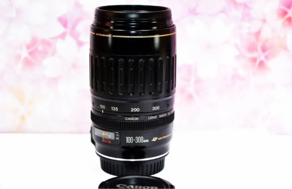 世界の人気ブランド Canon キヤノン 望遠レンズ EF90-300mm 迫力の300