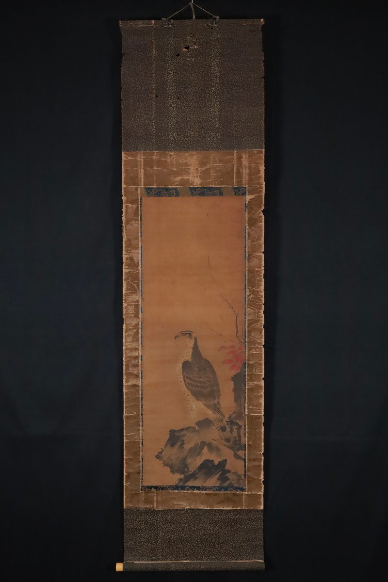 再追加販売 掛け軸【松に鷹】狩野栄川院典信 2580 狩野派古画 | www