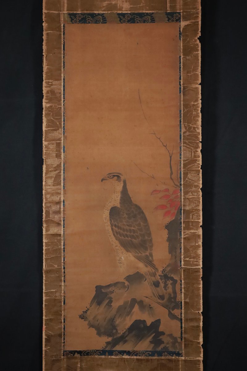 掛け軸【松に鷹】狩野栄川院典信 2580 狩野派古画-