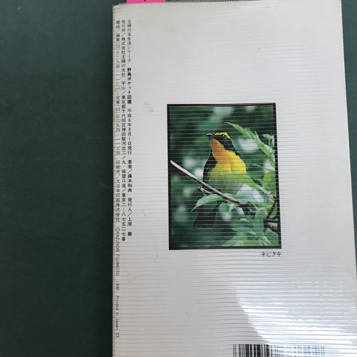 D63-165 野鳥　野鳥200種の特徴、見分け方、鳴き声　ポケット図鑑　藤本和典　主婦の友社　複数書込み有り_画像5
