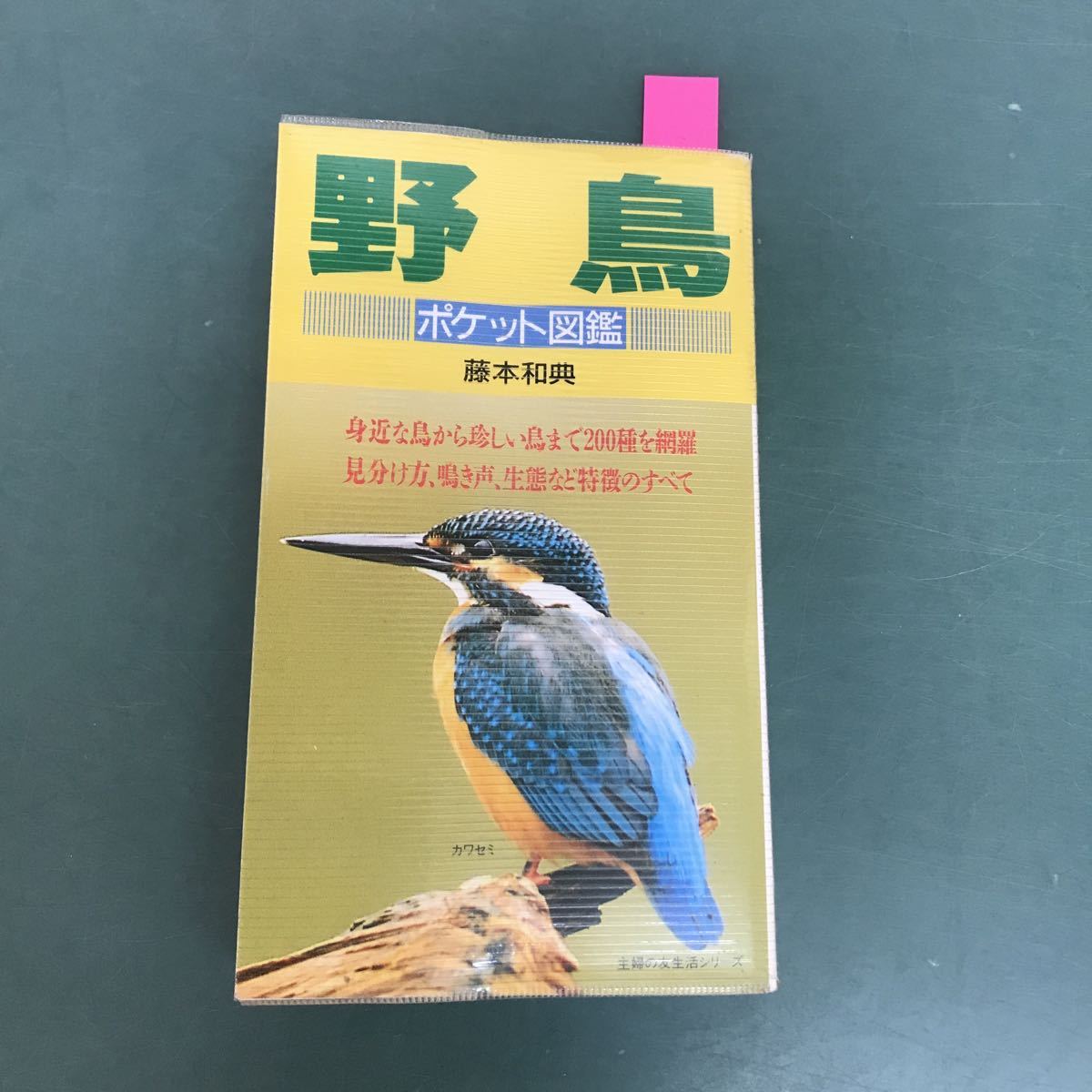 D63-165 野鳥　野鳥200種の特徴、見分け方、鳴き声　ポケット図鑑　藤本和典　主婦の友社　複数書込み有り_画像1