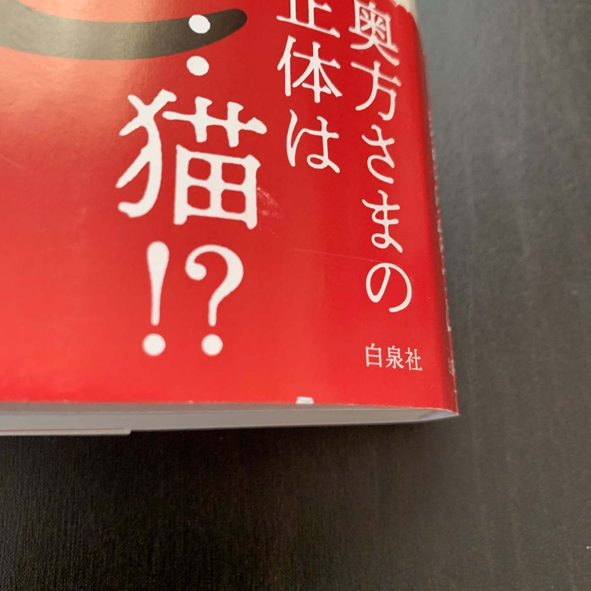 にゃん！　鈴江藩江戸屋敷見聞帳 あさのあつこ／著