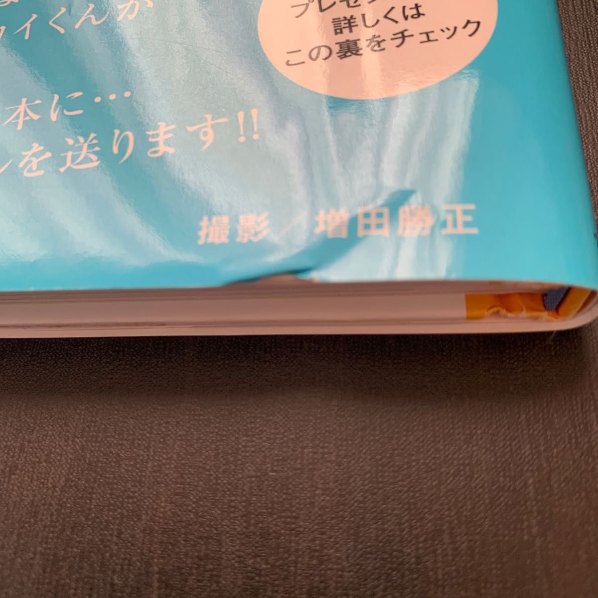 しゃべる犬カイくんのひとりごと ざふぁいなる