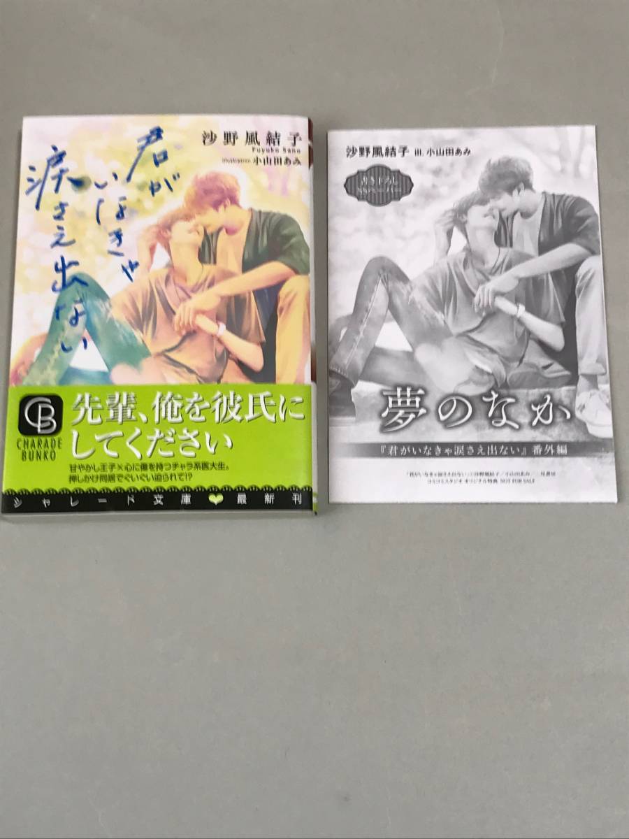 同梱可。　沙野風結子・小山田あみ『 君がいなきゃ涙さえ出ない 』書き下ろしSSペーパー付き【2212】_画像1