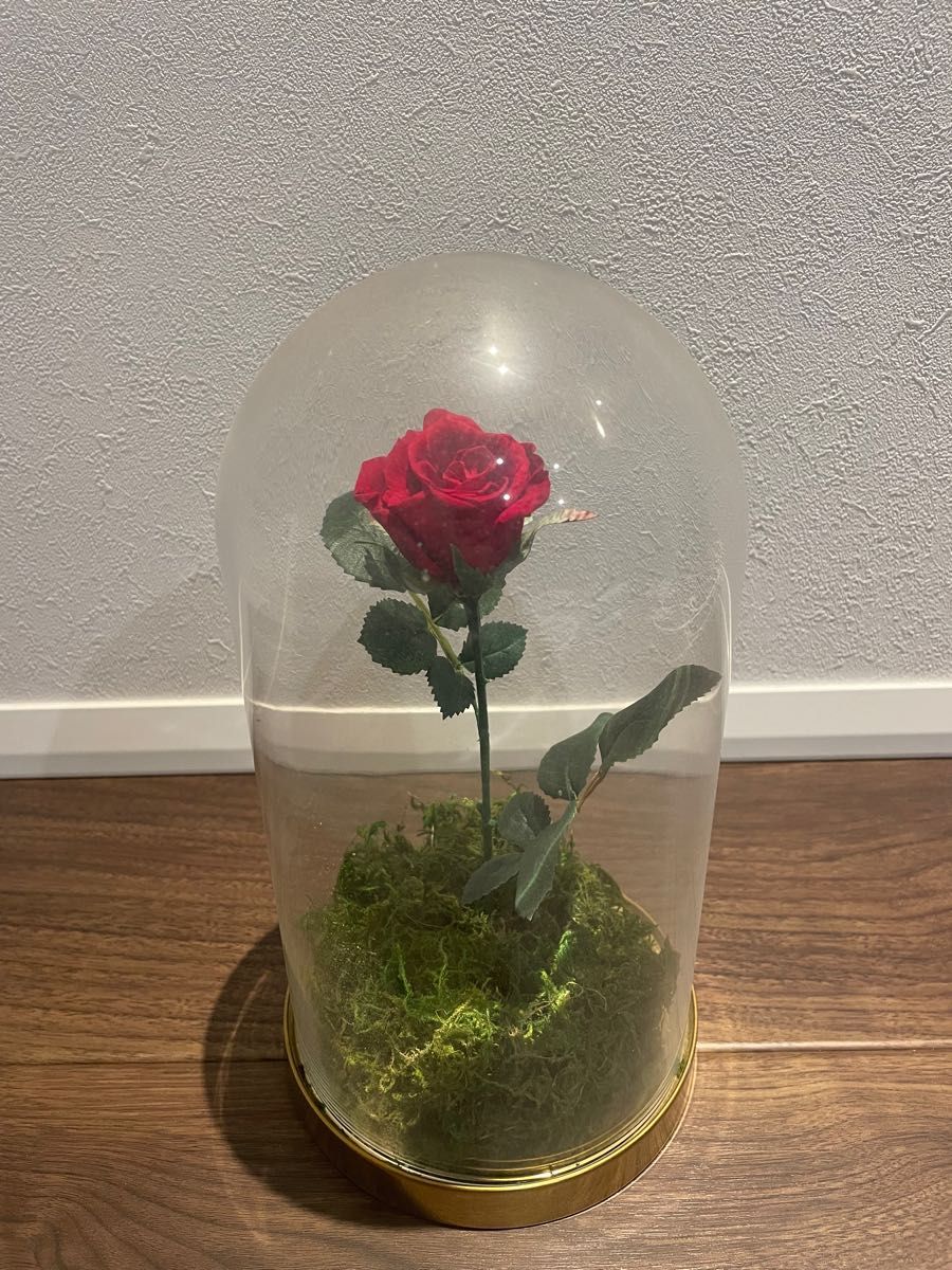 ガラスドーム　美女と野獣をモチーフにした薔薇のガラスドーム