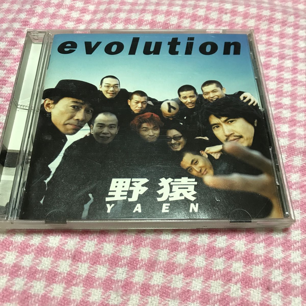 野猿／ｅｖｏｌｕｔｉｏｎ