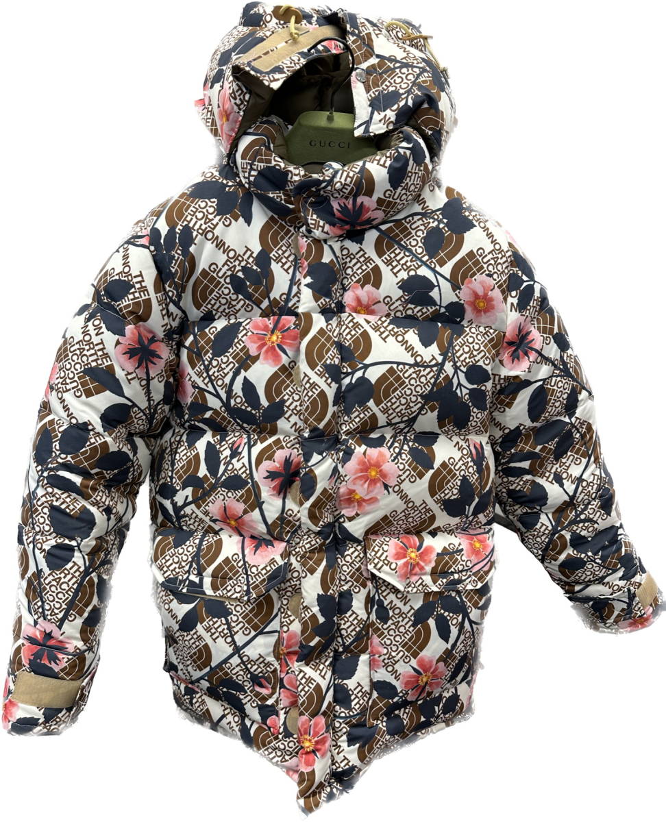 【新品未使用・コラボ限定モデル】GUCCI×THE NORTH FACE コラボグッズ ジャケットダウンジャケット 検索) グッチ ノースフェイス_画像1