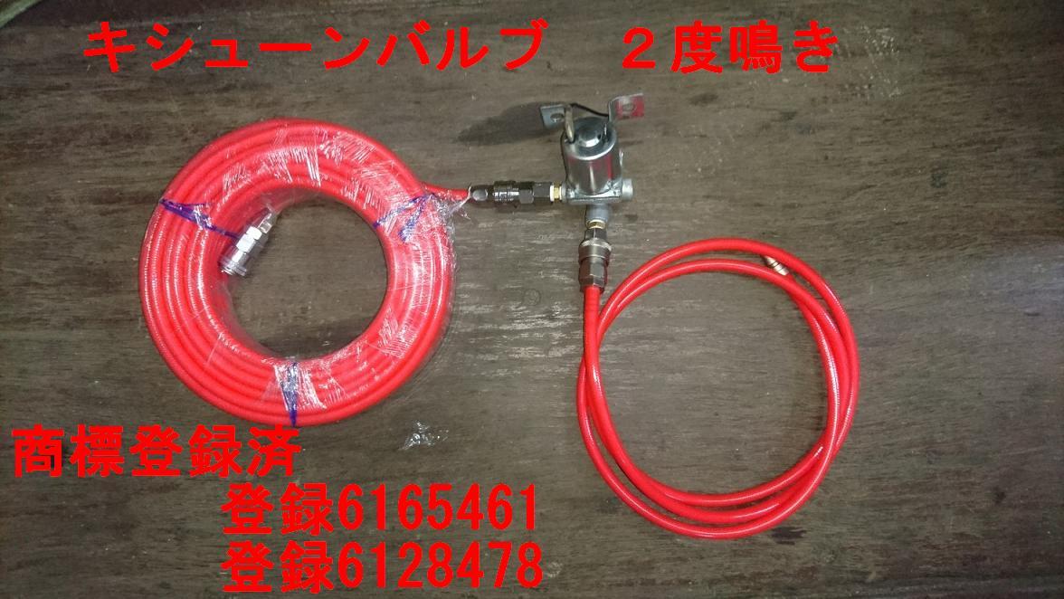 2回鳴きキッシューン-