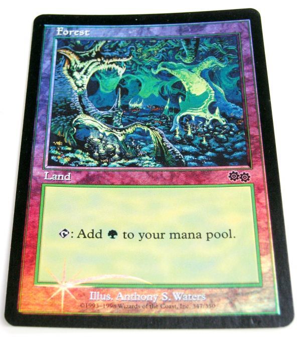 マジック・ザ。ギャザリング MTG 【Foil】USG版《森/Forest》[アリーナ] 土地 EN 英語版 ホイル 送料無料　即決＃017(0)_画像3