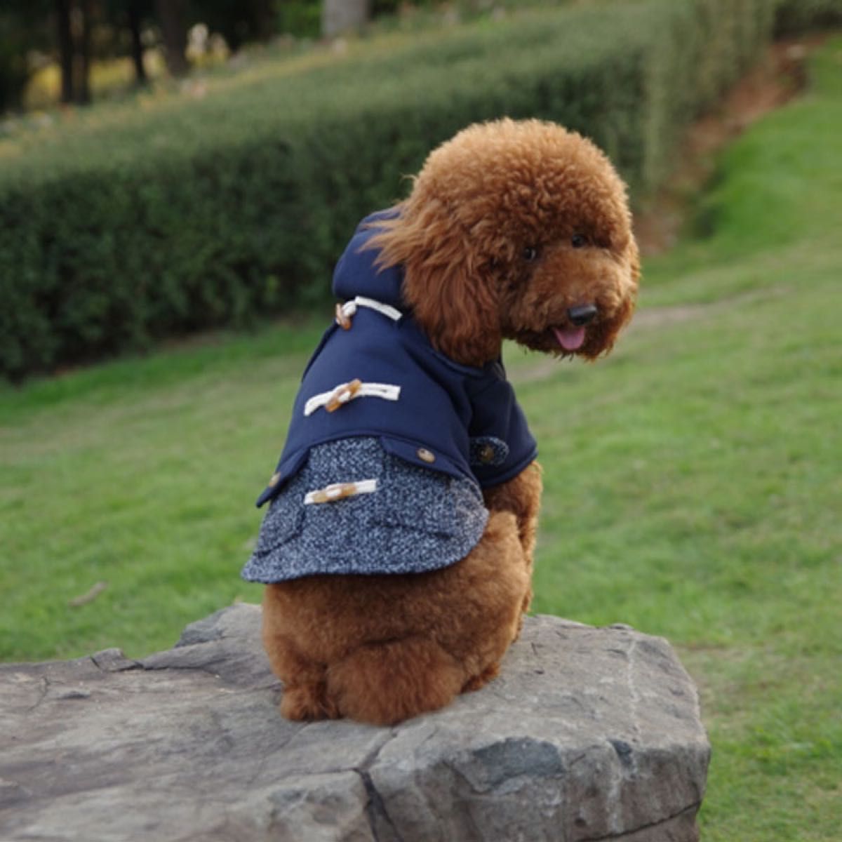 冬物セール　Sサイズ　かっこ可愛い　ダッフルコート　もふもふ　あったか　防寒　犬服　ネイビー　お揃い　アウター　 ドッグウェア