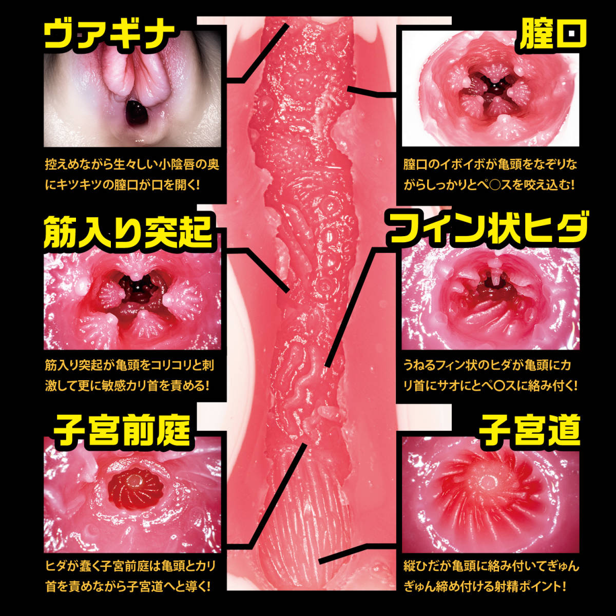 新?名器の証明 ファイルNo.003 葵つかさ