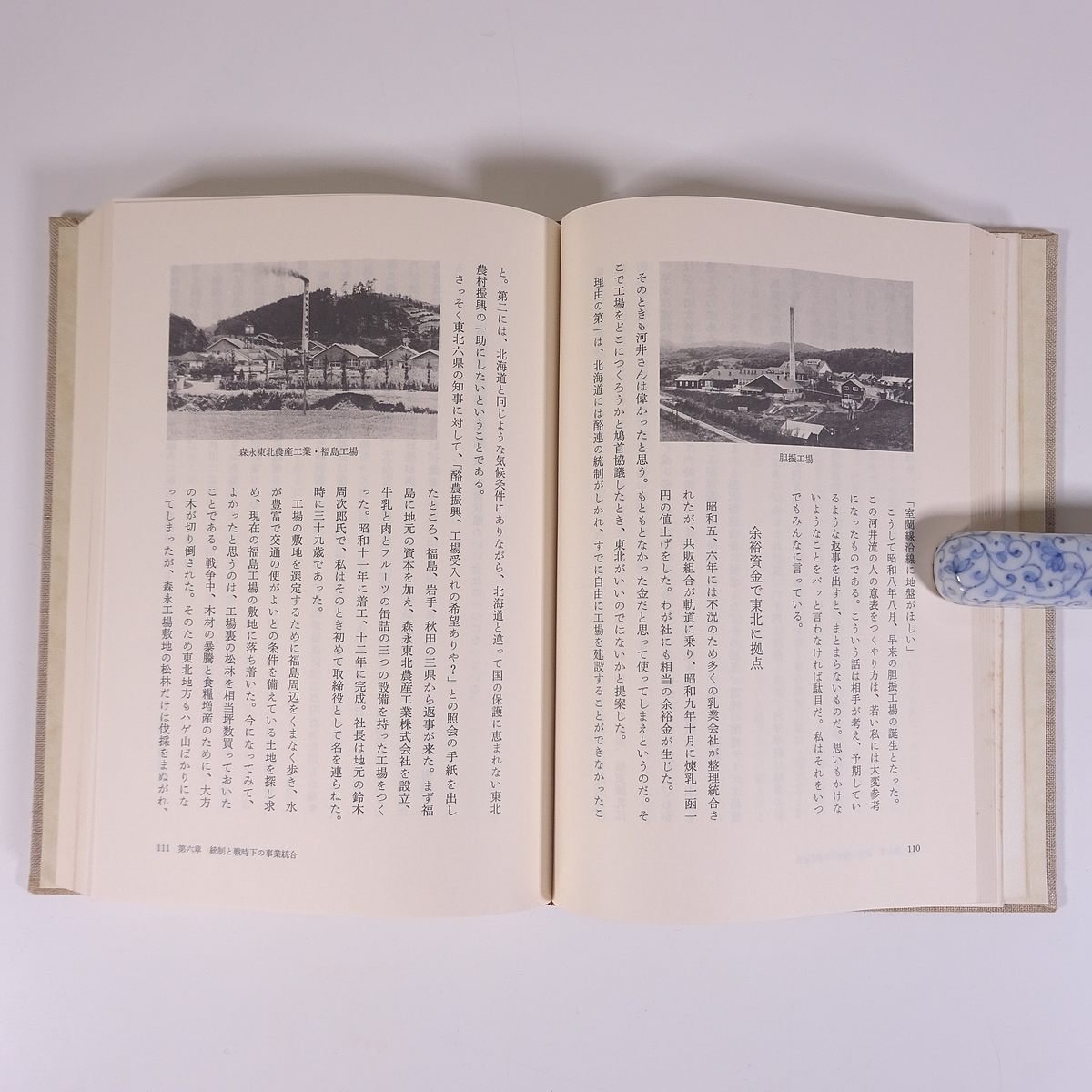 自在の人 大野勇 森永乳業株式会社 1985 函入り単行本 社誌 社史 伝記 人物伝 自伝_画像8