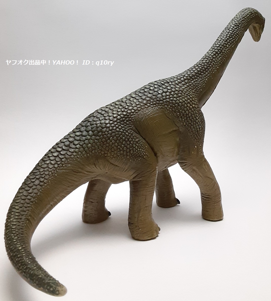 ブラキオサウルス/シュライヒ フィギュア【Schleich】恐竜の画像6