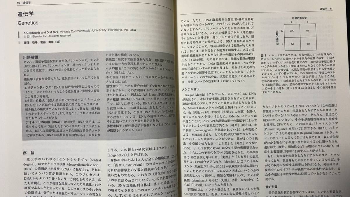 青年期発達百科事典』全3巻揃い○丸善出版○検)発達/遺伝学/社会 青年期発達百科事典』全3巻揃い○丸善出版○検)発達/遺伝学/社会