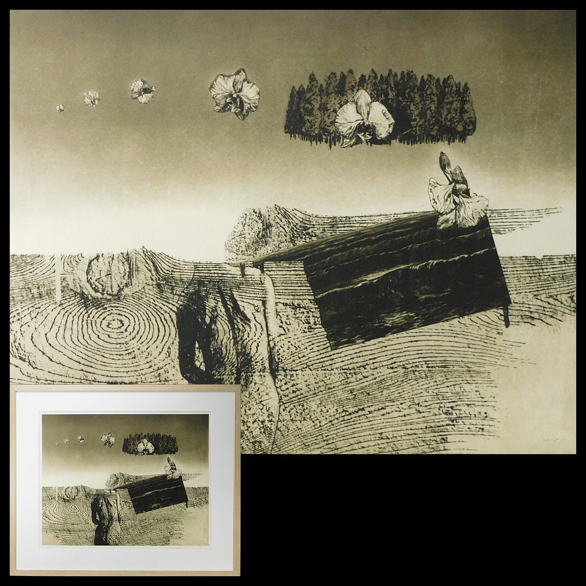 中林忠良 剥離される風景Ⅱ エッチング アクアチント(銅版画)額装 1972