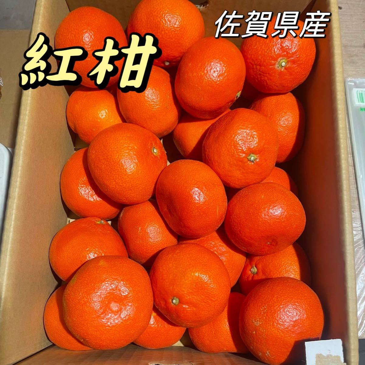 紅柑 佐賀県産 箱含む5kg 紅みかん 柑橘|Yahoo!フリマ(旧 紅柑 佐賀県産 箱含む5kg 紅みかん 柑橘|Yahoo!フリマ(旧