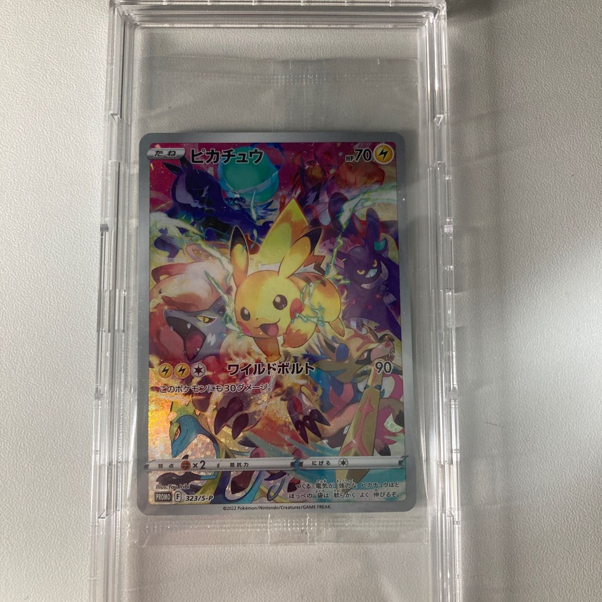 ポケモンカード プレシャスコレクターボックス ピカチュウ プロモ 未
