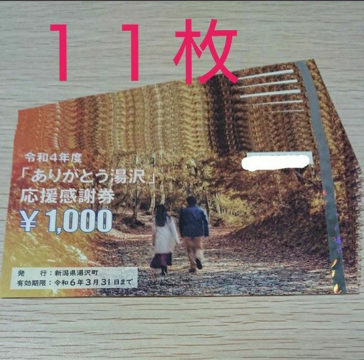 湯沢町 応援感謝券 21,000円分 www.jkdiagnostics.com