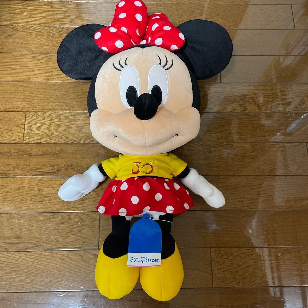 東京ディズニーリゾート30周年 ミッキー&ミニーぬいぐるみ 未 東京ディズニーリゾート30周年 ミッキー&ミニーぬいぐるみ 未
