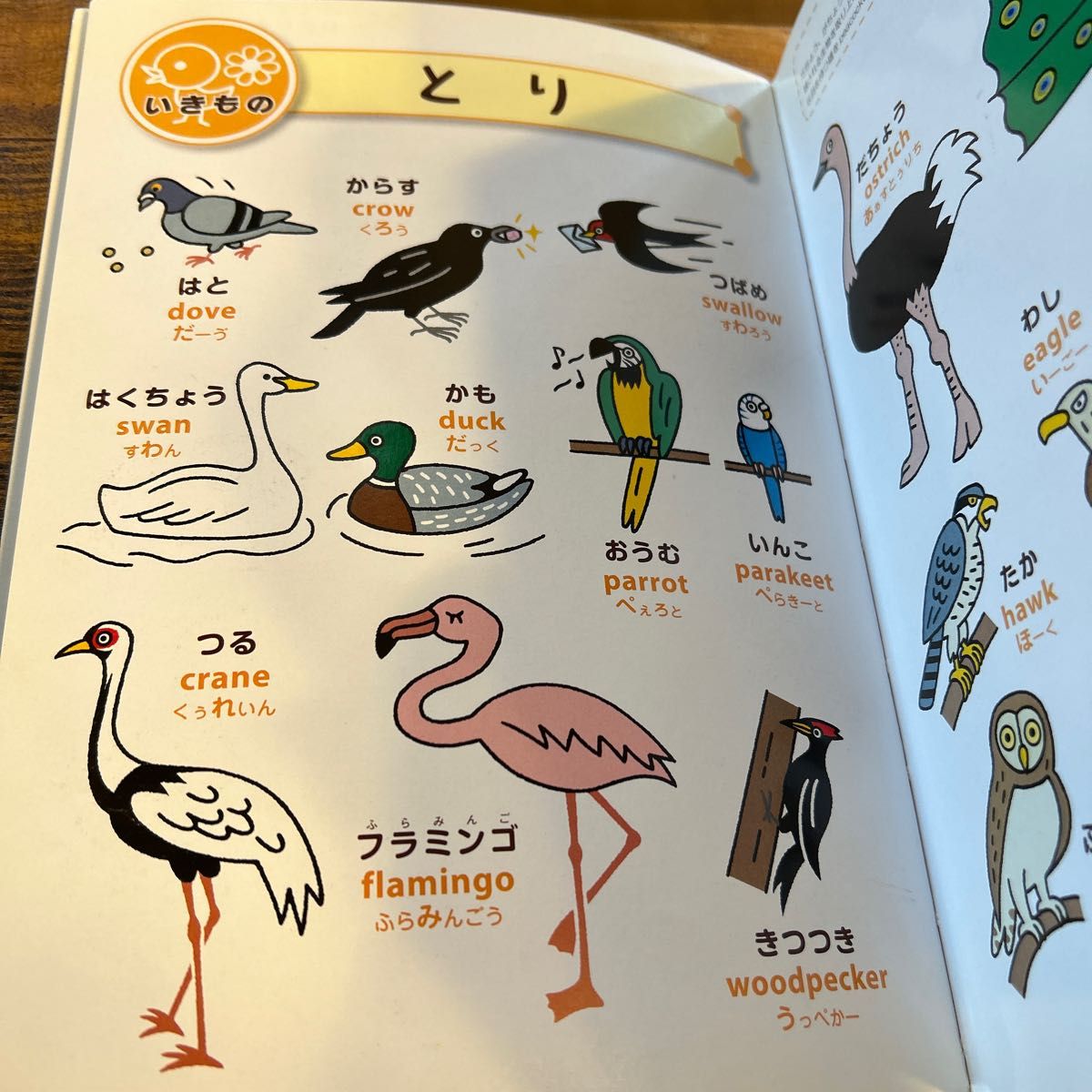 こどもの絵本ずかん　日本語と英語が学べる　ネイティブの発音つき　２～５歳向け 