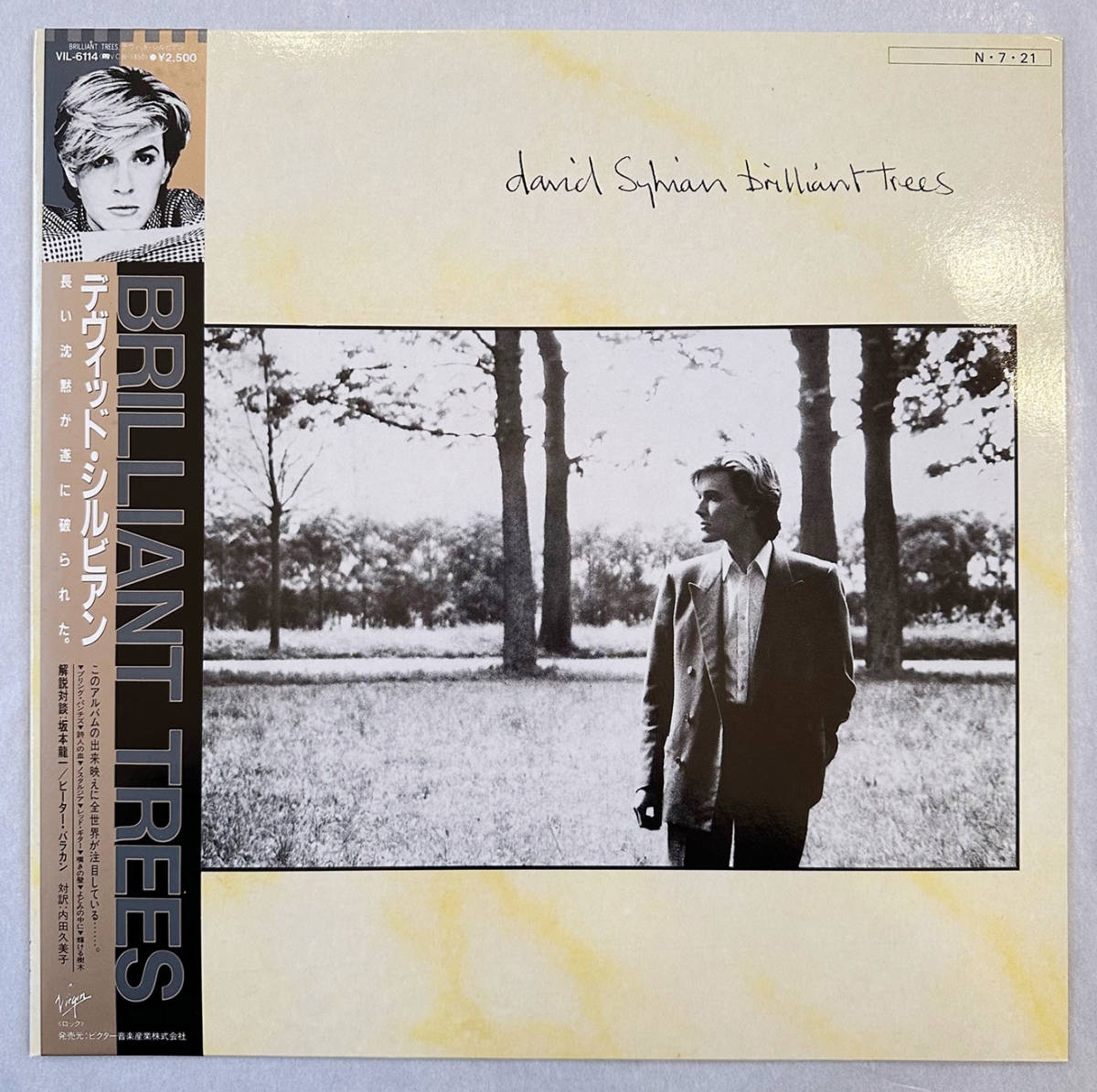#1984 year domestic record original new goods David Sylvian - Brilliant Trees 12~LP VIL-6114 Virgin