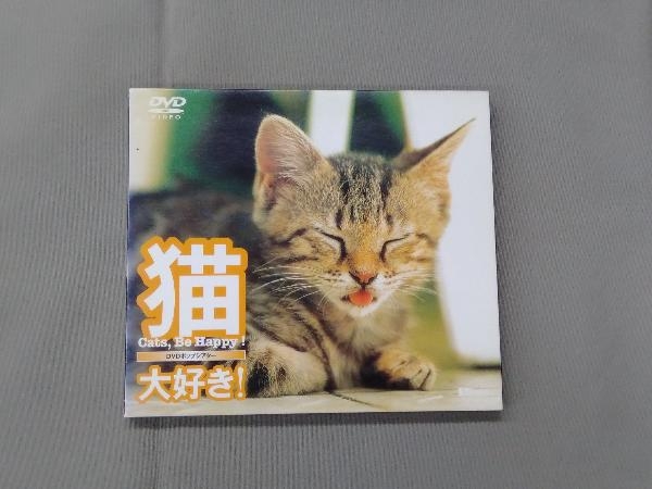 DVD кошка, большой нравится!