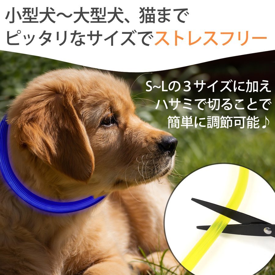 光る首輪 犬 猫 ペット LEDライト USB充電式 大型犬 Lサイズ 70cm ペット用品 8色カラー指定 送料無料_画像4