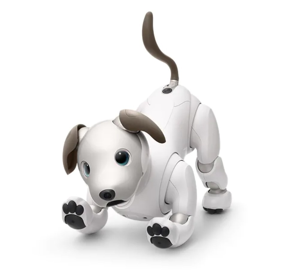 2020最新型 高品質 SONY aibo 本体(ERS-1000)新品未開封 - その他