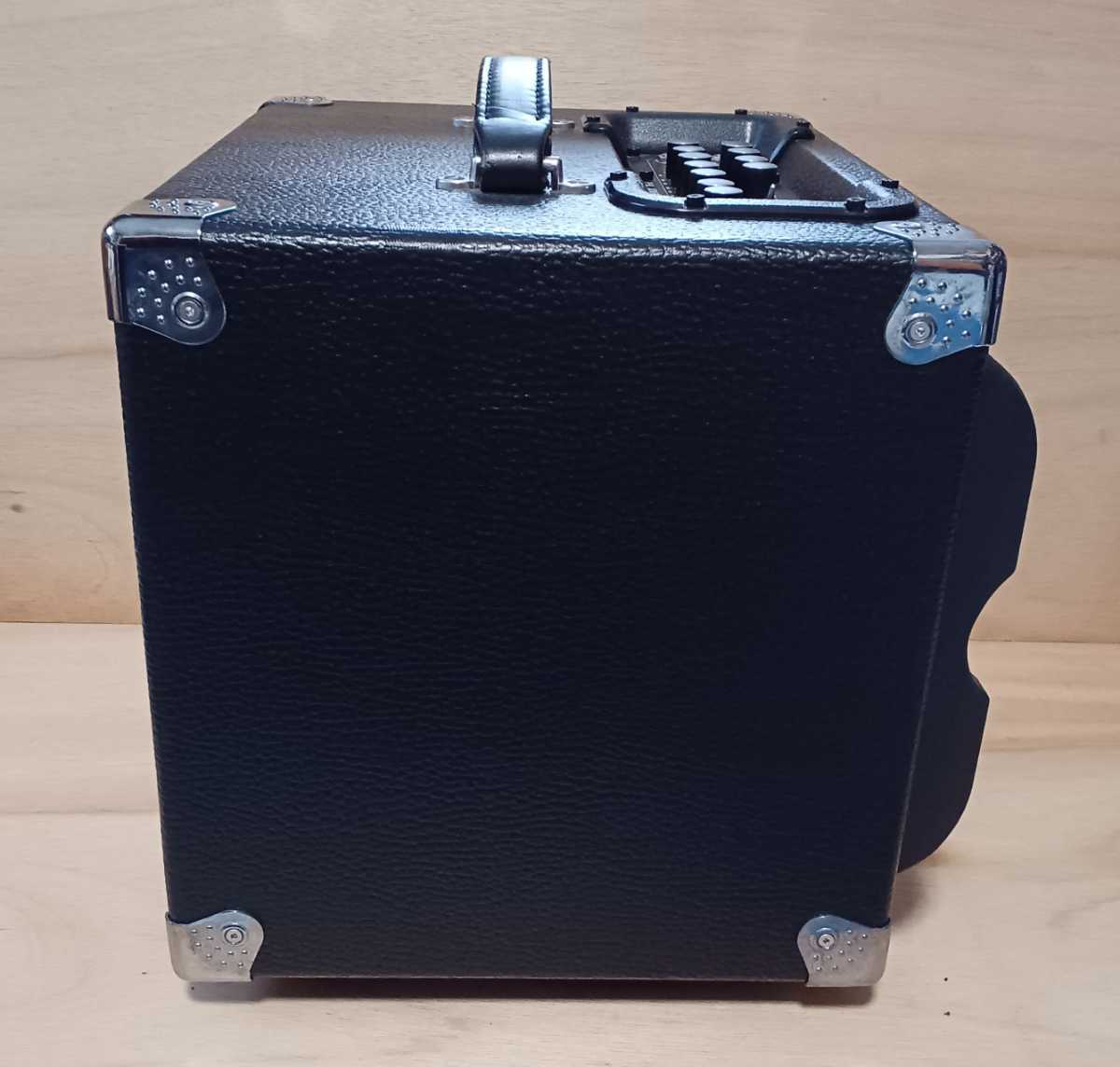 Phil Jones Bass Suitcase Compact BG-400