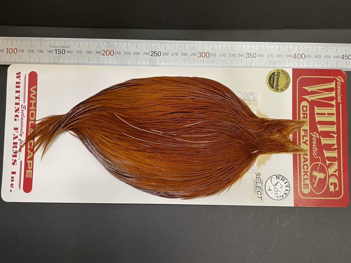 ご予約品】 Whiting Brown ホワイティング シルバーセレクト