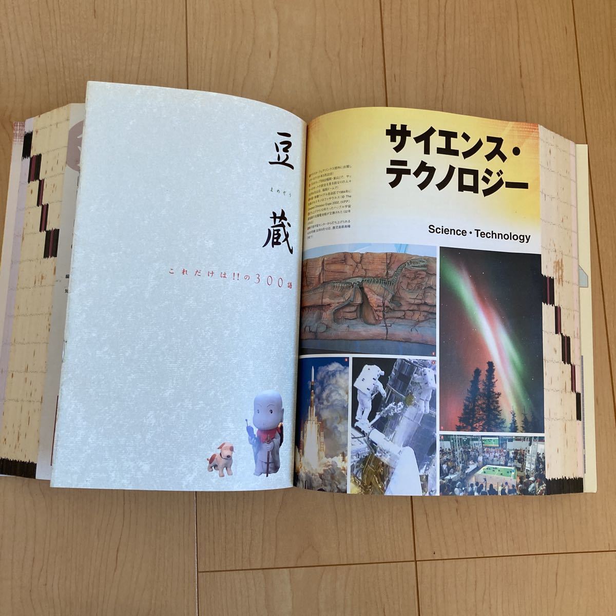 【送料無料】大型本　朝日現代用語　知恵蔵2003 朝日新聞社_画像7