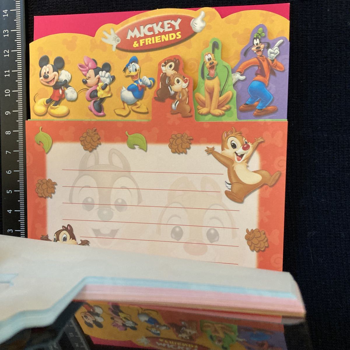 Disney Autograph Book - Mickey and Friends