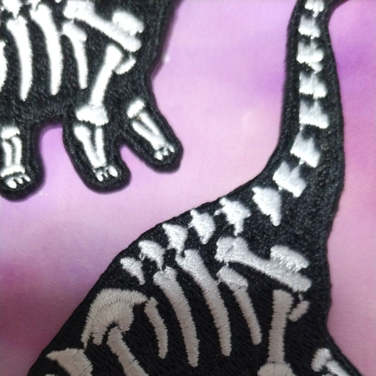 化石 シルエット ダイナソー 恐竜 きょうりゅう 丸 刺繍 アイロンワッペン