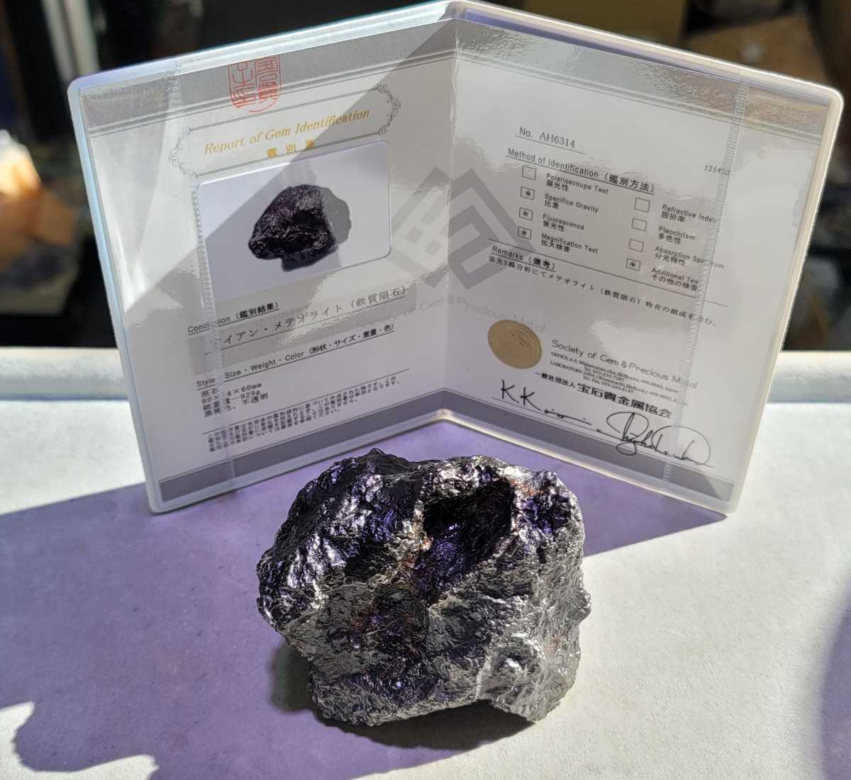 隕石 カンポデルシエロ 鉄隕石 鑑別書付き ② www.anac-mali.org