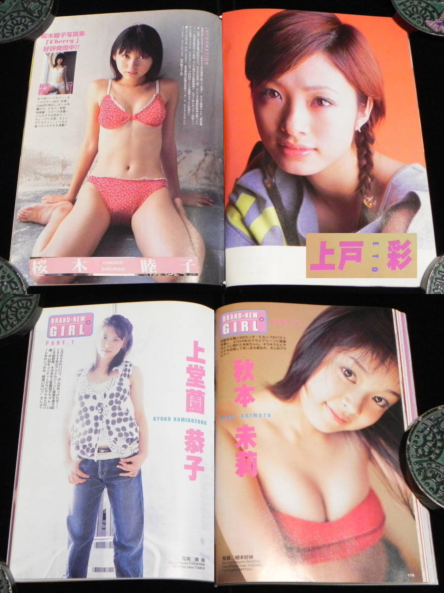 雑誌付録DVD 2枚セット 吉岡美穂 磯山さやか 森下千里 ほしのあき 井上