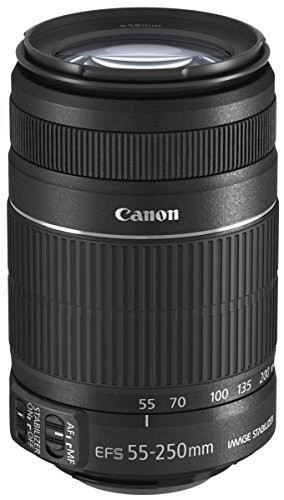 Canon 望遠ズームレンズ EF-S55-250mm F4-5.6 IS II APS-C対応