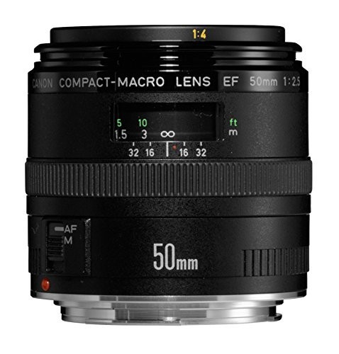 【オンライン限定商品】  Canon 単焦点マクロレンズ フルサイズ対応 コンパクトマクロ F2.5 EF50mm レンズ、フィルター