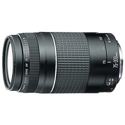 Canon EFレンズEF75-300mm F4-5.6 IIIズームレンズ望遠並行輸入品商品