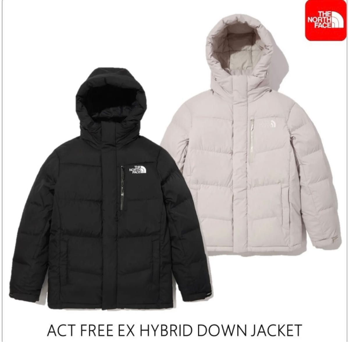 2022年限定カラー 希少 サイズL North Face マクマード ダウン
