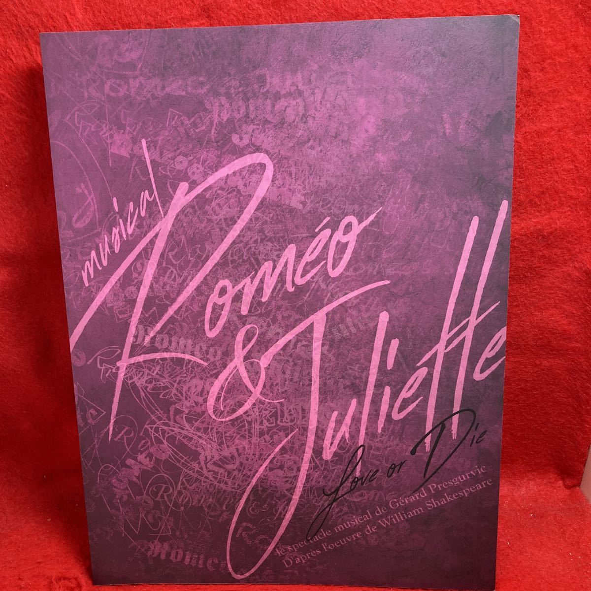 ▼ミュージカル ロミオ&ジュリエット ビジュアルブック 2019 ROMEO＆JULIETTE 古川雄大 大野拓朗 葵わかな 生田絵梨花 三浦涼介 渡辺大輔_画像1