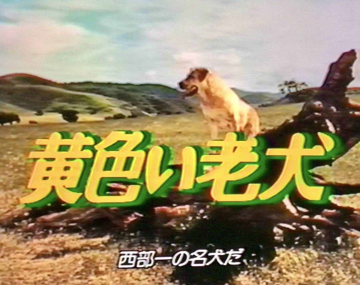 [ rental *VHS video soft ] yellow . dog, total finger .|uoruto* Disney, not yet DVD., historical name name work, Japanese title,1957 year America movie 