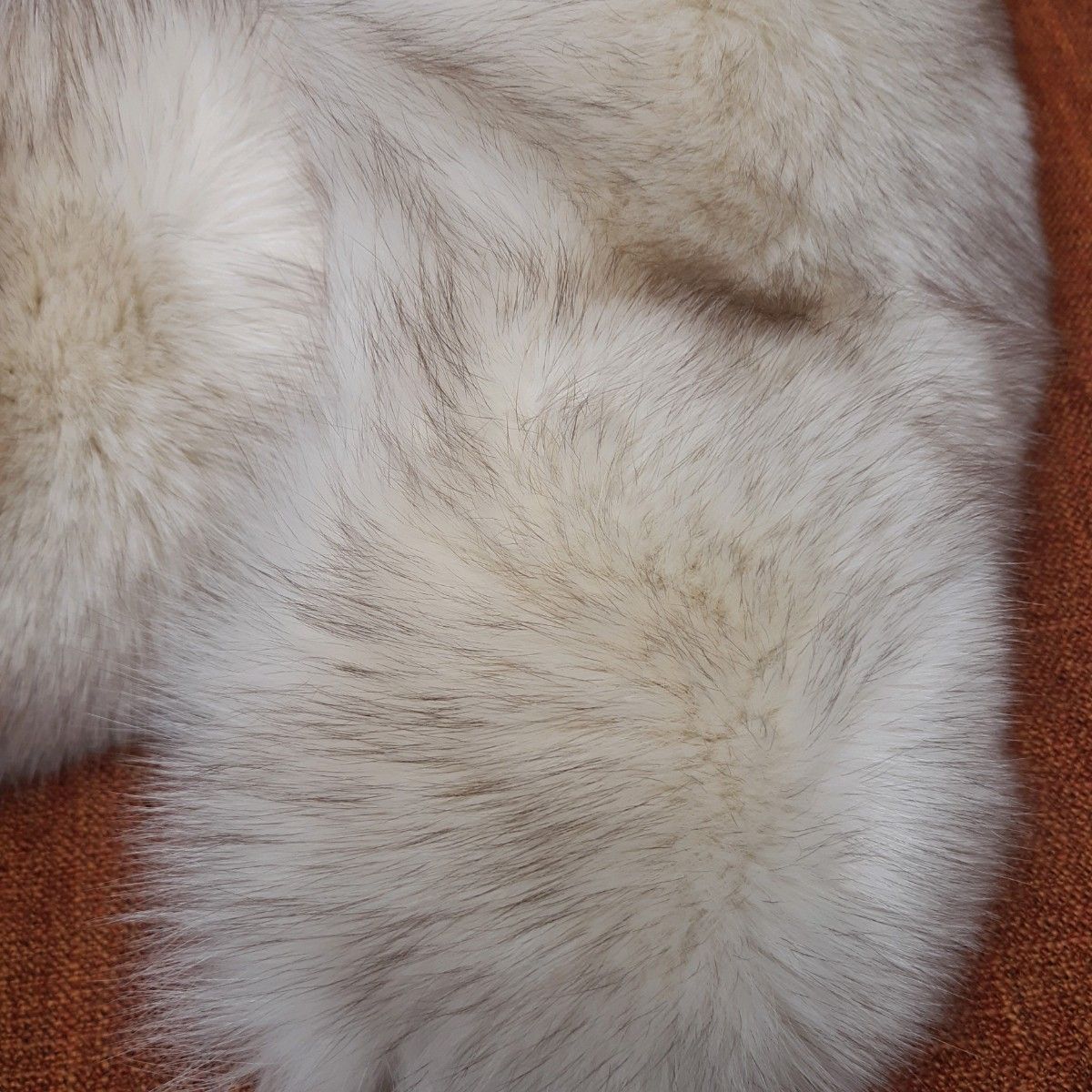 サガフォックス SAGA FOX ファー ショール 大判 TRIM BESATZ サガフォックス SAGA FOX ファー ショール 大判 TRIM BESATZ