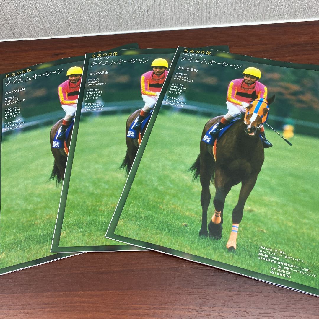 [ horse racing ]2021 year Hanshin jubena il Filly z Racing Program 3 pcs. set |JRA Hanshin horse racing place | cover *sodasi